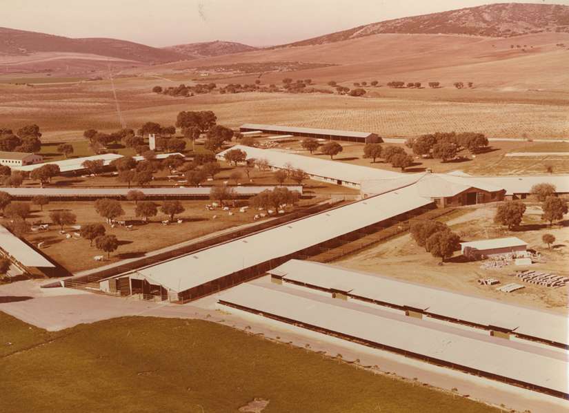 Finca Puerto Vallehermoso